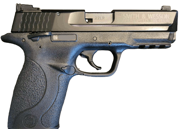 SW 22 Compact Hammer Fired